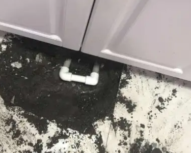 珲春查漏水哪家好